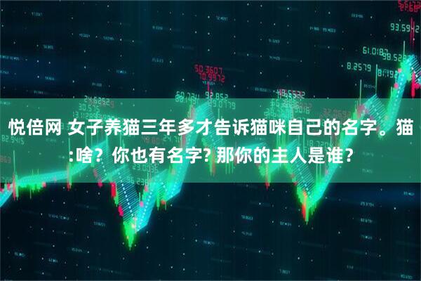 悦倍网 女子养猫三年多才告诉猫咪自己的名字。猫:啥？你也有名字? 那你的主人是谁？